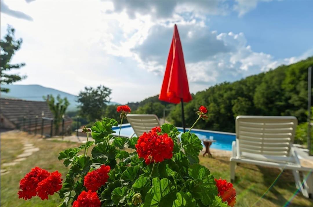 Honey House Grabovac (Split-Dalmatia) Exterior foto